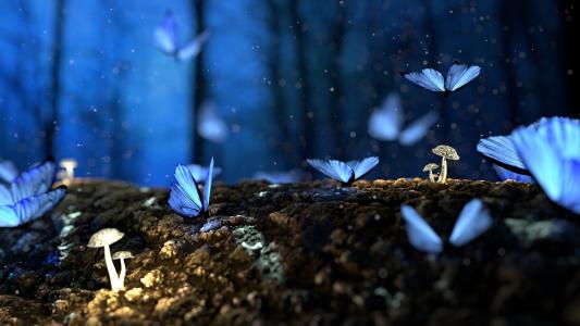 蝴蝶, 3d, 蓝色, 蘑菇, 森林, 幻想, 没有人