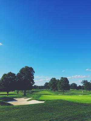 蓝蓝的天空, 高尔夫, 高尔夫俱乐部, 草甸, 公园, 树木, 高尔夫球场