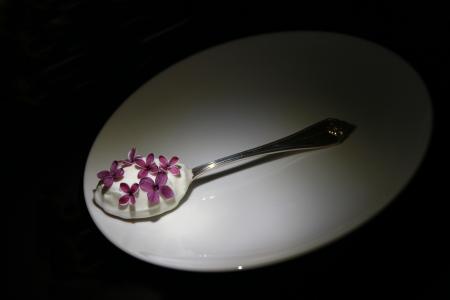 茶匙, 白色, 板, 白板, 酸奶, 花, 紫色的花