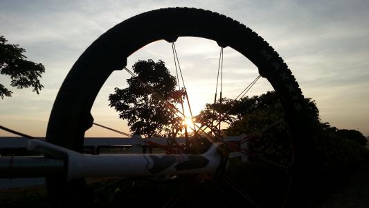 日落, 车轮, 自行车, 山地自行车