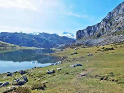 covadonga, 湖, món, 西班牙, 阿斯图利亚斯, picos, 自然