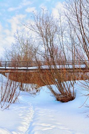 冬天, 桥梁, 河, 景观, 雪, 冰, 树