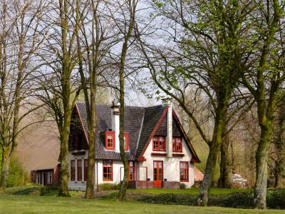 荷兰, 首页, 房子, 树木, 自然, 外面, 草