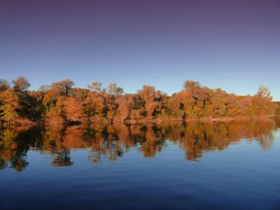 秋天, 水, 老莱茵河, reffenthal, 自然, 景观, 秋天的落叶