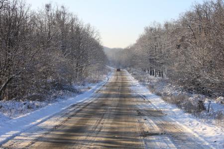 感冒, 森林, 道路, 雪, 白雪皑皑, 树木, 白色