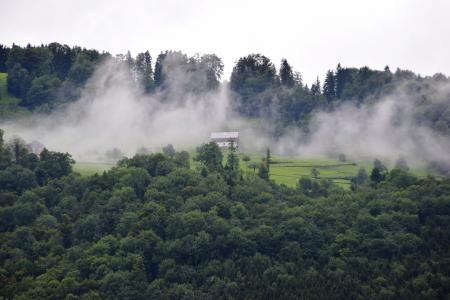 高山, 森林, 雾, 云量, 徒步旅行, 下雨天, 阿尔卑斯