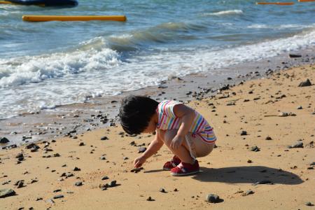 孩子们, 海, 拿起, 海滩, 石头