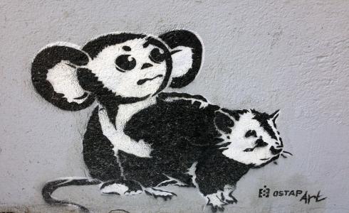 街头艺术, 城市艺术, 壁画, 艺术, 柏林, 墙体粉刷, 狗