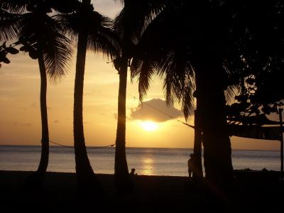 海滩, 日落, 瓜德罗普岛, 棕榈, 海, 假日, 天空