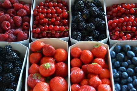 berreis, 森林里的水果, 网络, 红色, 市场, 水果, 食品