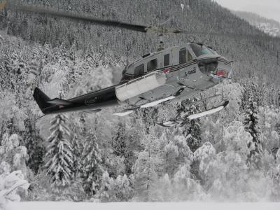 直升机, 雪, 山, 加拿大, 冬天