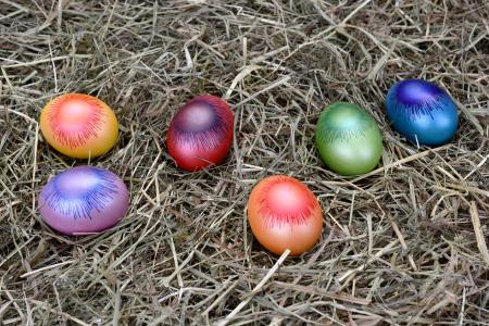 复活节彩蛋, 复活节, 鸡蛋, 装饰, 复活节装饰, 复活节快乐, 多彩