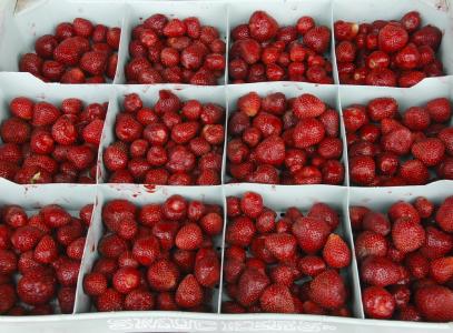浆果, 草莓, 健康, 甜, 新鲜, 红色, 成熟