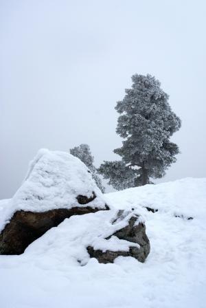 冬天, 冰, 石头, 感冒, 乌普萨拉, 瑞典, 景观