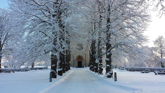 大道, 教堂的门, 冬天, delsbo, 道路, 雪, 树