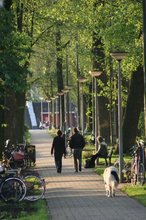 weesperzijde, 阿姆斯特丹, 徒步旅行, 树木, 绿色, 荷兰