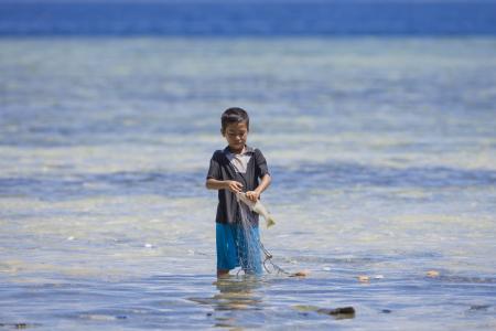 男孩, 捕鱼, 哈马黑拉, widi 群岛, 急性心肌梗死, 印度尼西亚, uchin