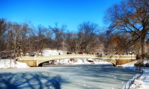 中央公园, 纽约城, 具有里程碑意义, 冬天, 雪, 冰, 池塘