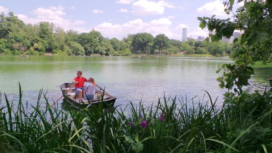 浪漫, 小船, 划船, 公园, 纽约
