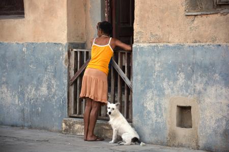 女人, 狗, 古巴, 邻居对话, 人