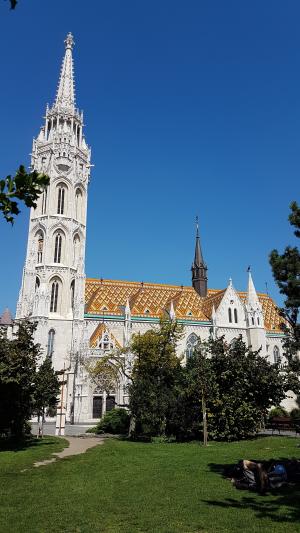 布拉索夫, 教会, 夏季, 建筑, 著名的地方, 塔, 大教堂