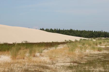 沙丘, 流动沙丘, 海岸, 波罗地海, 波兰, 移动沙丘, 海滩
