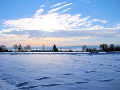冬天, 雪, 景观