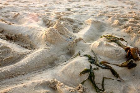 海滩, 沙子, 沙雕, 雕塑, 沙滩