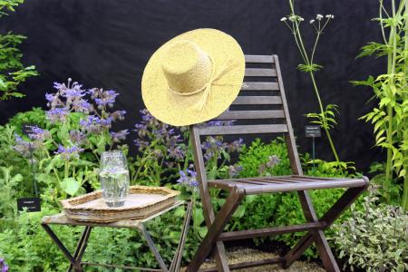 帽子, 花园, 美丽, 时尚, 生活方式, 夏季, 可爱