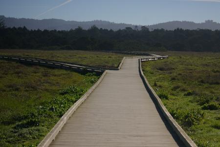 mackerricher 州立公园, 加利福尼亚州, 浮桥, 布拉格堡, 海岸, 绿色, mackerricher