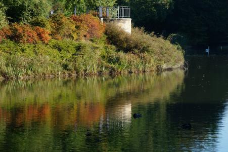 湖, 镜像, 秋天, 水, 多彩, 心情, 反思