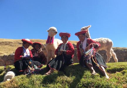 秘鲁, 安第斯山脉, 遗产, 人, 传统, 骆驼, 文化
