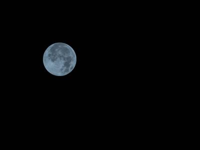 满月, 夜晚的天空, 月亮, 蓝色的月亮