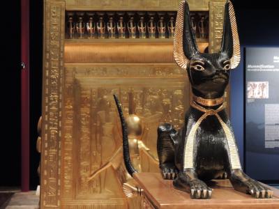 埃及, 神圣, 猫, 纪念, 动物, 雕像