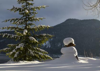 冬天, 风光, canim 湖, 不列颠哥伦比亚省, 加拿大, 雪, 天气
