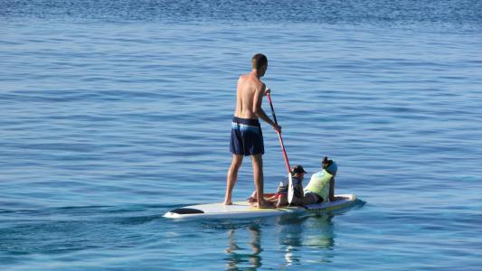 桨, 冲浪板, 度假, paddleboarding, 休闲, 假期