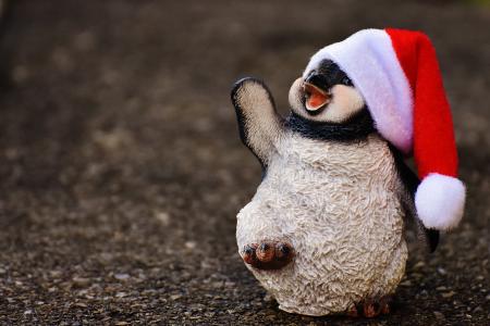 企鹅, 图, 圣诞节, 圣诞老人的帽子, 装饰, 有趣, 动物