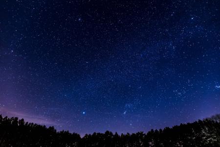 繁星点点, 晚上, 森林, 天空, 星级, 夜晚的天空, 明星-空间