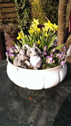 花盆, 水仙花, 黄色, 兔子, 复活节, 装饰, 紫色