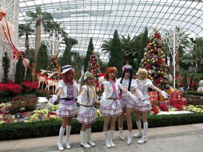 圣诞节, 新加坡, 妇女, 文化, 人, 庆祝活动