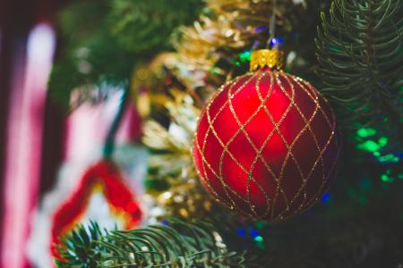 圣诞节, 圣诞树, 红色, 假日, 装饰, 圣诞节, 12 月