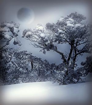 冬天, 白色, 蓝色, 雪, 自然, 感冒, 冬季景观