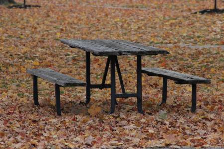 板凳, 秋天, 自然, 户外