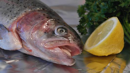 鲑鱼鳟鱼, 鳟鱼, 鱼, 鱼头, 柠檬, 吃, 食品