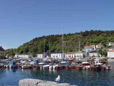 挪威, 小型端口, 海, 海鸥, 帆船, 渔船