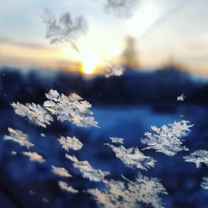 雪花, 摄影, 冰, 雪花, 窗口, 冬天, 自然