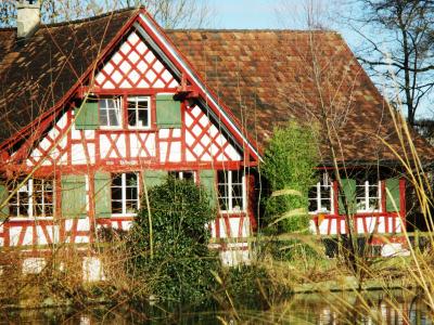 老磨坊, fachwerkhaus, 窗口, amriswil, 图尔, 瑞士