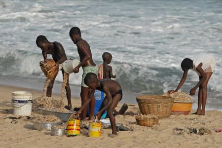 加纳, 儿童, 网上冲浪, 海, 水, 贻贝