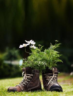 花, 鞋子, 草甸, 花园, 德科, 鞋子, 启动