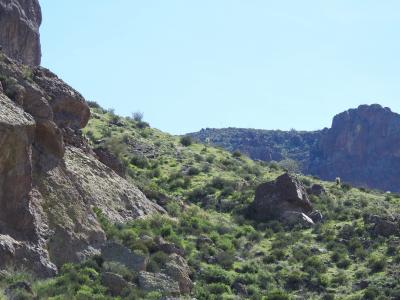 亚利桑那州, 仙人掌, 沙漠, 自然, 山, 岩石-对象, 景观